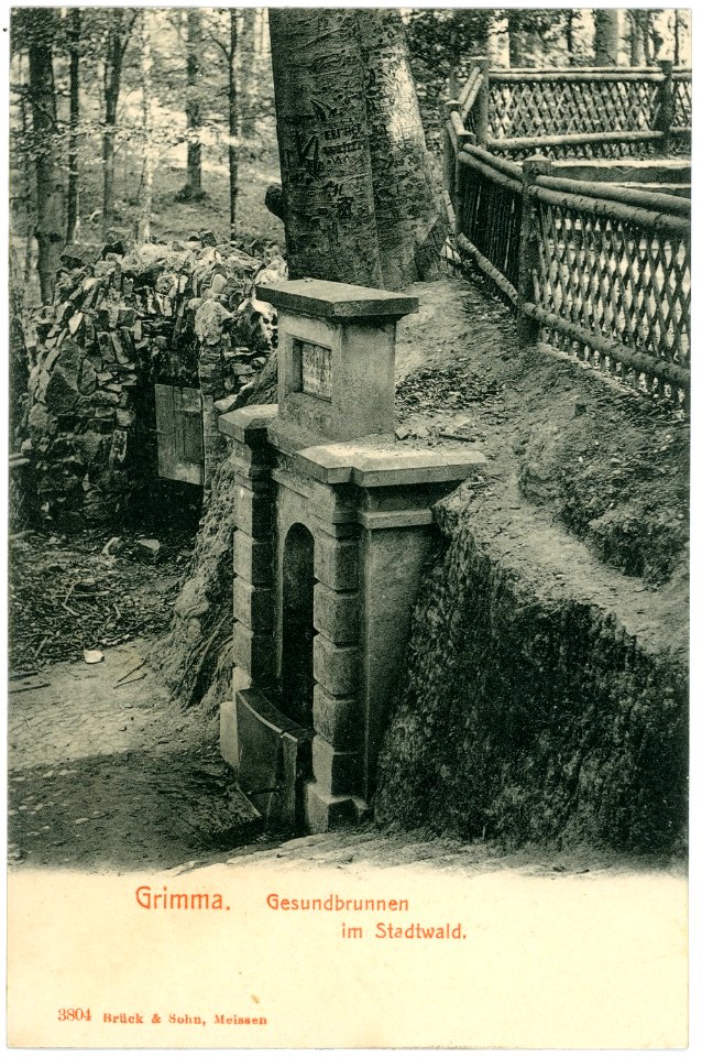 03804-Grimma-1903-Gesundbrunnen im Stadtwald-Brück & Sohn Kunstverlag