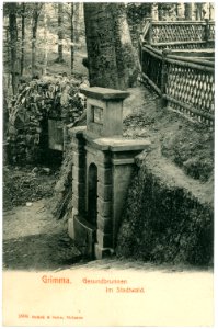 03804-Grimma-1903-Gesundbrunnen im Stadtwald-Brück & Sohn Kunstverlag