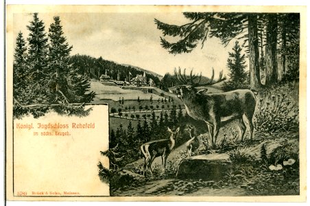 05789-Rehefeld-1905-Jagdschloß mit Rehwild-Brück & Sohn Kunstverlag
