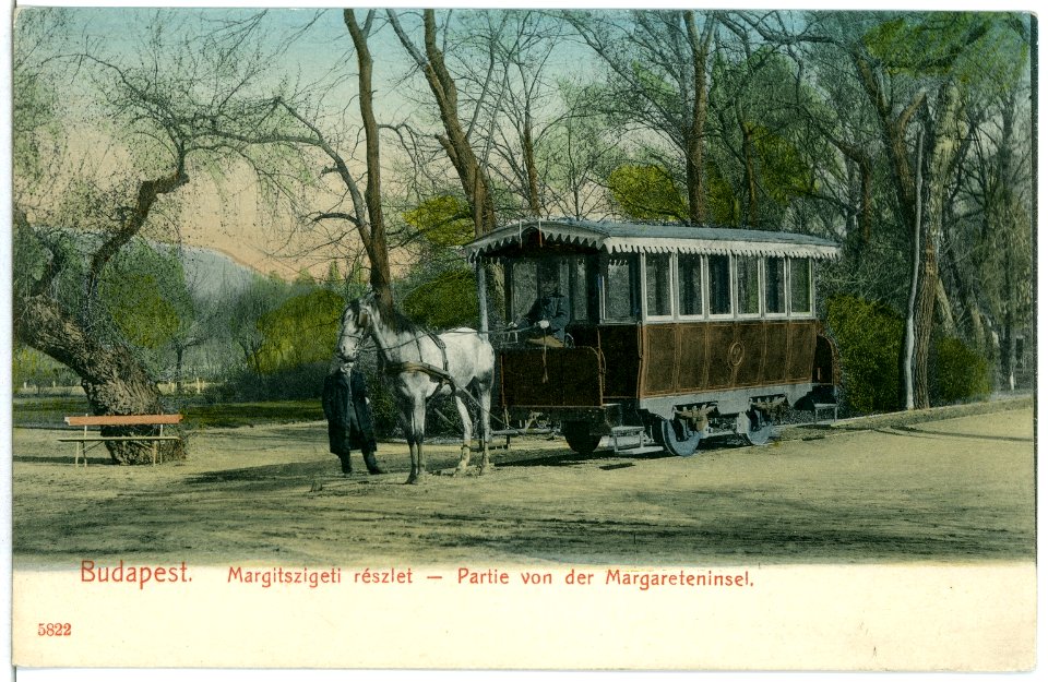 05822-Budapest-1905-Pferdebahn auf der Margareteninsel-Brück & Sohn Kunstverlag
