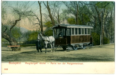 05822-Budapest-1905-Pferdebahn auf der Margareteninsel-Brück & Sohn Kunstverlag