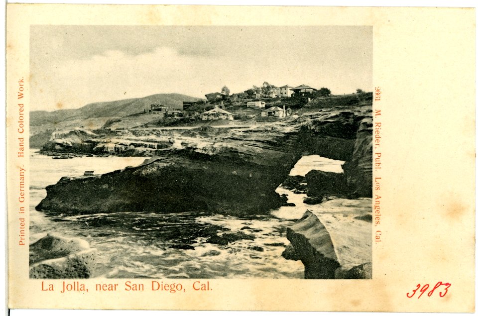 03983-San Diego-1903-La Jolla near San Diego-Brück & Sohn Kunstverlag