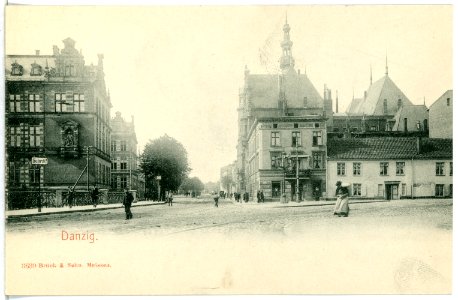 03639-Danzig-1903-Neugarten - Königliche Regierung-Brück & Sohn Kunstverlag