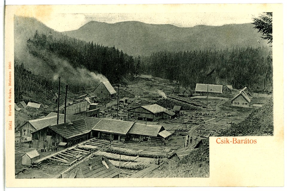 05964-Csik Baratos-1905-Sägewerk-Brück & Sohn Kunstverlag