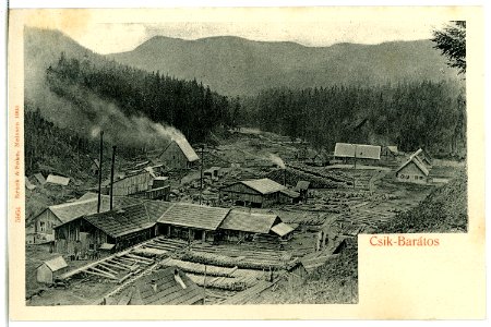 05964-Csik Baratos-1905-Sägewerk-Brück & Sohn Kunstverlag