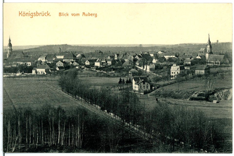 06450-Königsbrück-1905-Blick vom Auberg auf die Stadt-Brück & Sohn Kunstverlag