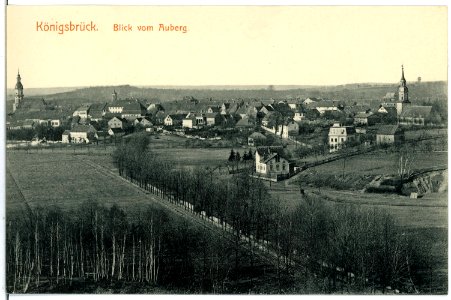 06450-Königsbrück-1905-Blick vom Auberg auf die Stadt-Brück & Sohn Kunstverlag