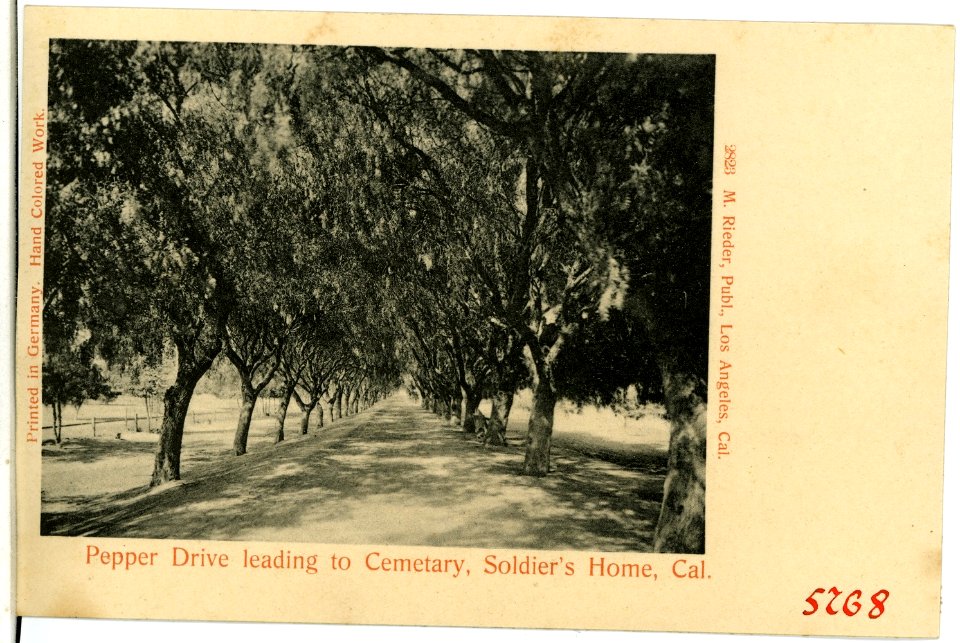 05768-Soldier`s Home-1905-Pepper Drive leading to Cemetary, Soldiers Home-Brück & Sohn Kunstverlag