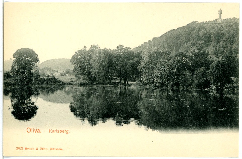 03621-Oliva-1903-Blick vom Karlsberg-Brück & Sohn Kunstverlag
