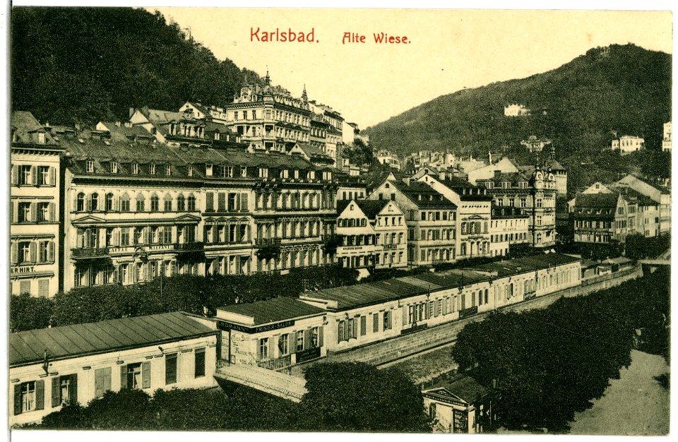 06018-Karlsbad-1905-Alte Wiese-Brück & Sohn Kunstverlag