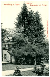 06113-Naumburg-1905-Bürgergarten mit Pavillon-Brück & Sohn Kunstverlag