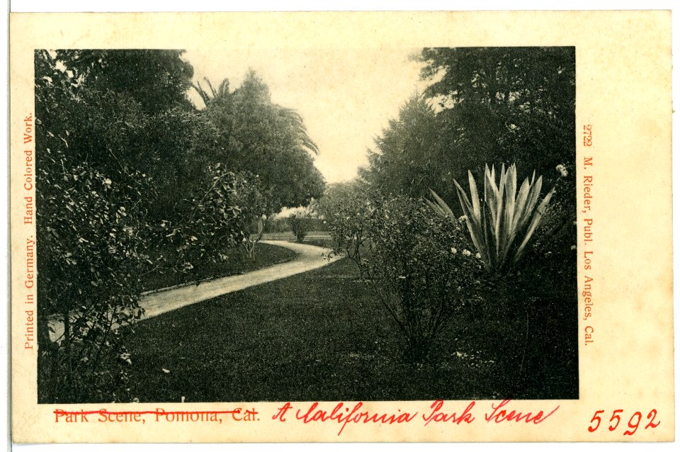 05592-Pomona-1904-Park Scene, Pomona, California-Brück & Sohn Kunstverlag