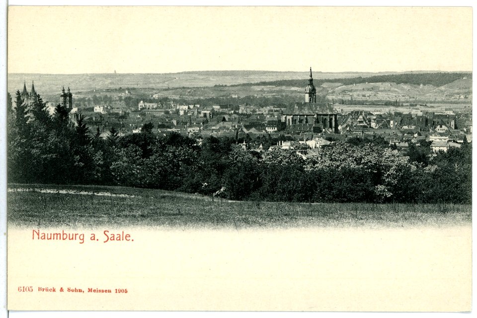 06105-Naumburg-1905-Blick auf die Stadt-Brück & Sohn Kunstverlag