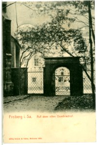 03904-Freiberg-1903-auf dem alten Domfriedhof-Brück & Sohn Kunstverlag