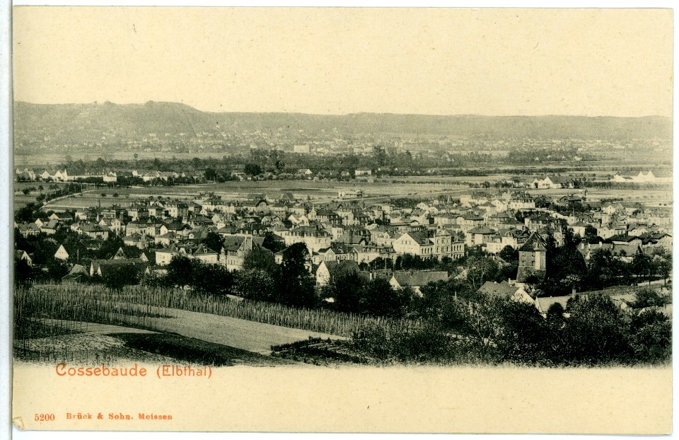 05200-Cossebaude-1904-Blick über Cossebaude-Brück & Sohn Kunstverlag