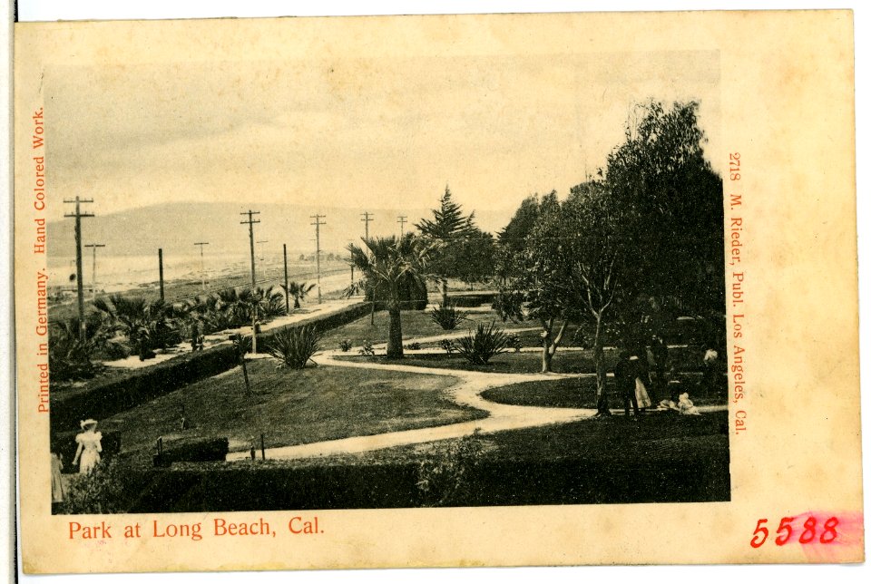 05588-Long Beach-1904-Park at Long Beach, California-Brück & Sohn Kunstverlag