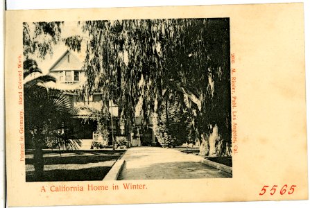05565-Kalifornien-1904-A California Home in Winter-Brück & Sohn Kunstverlag