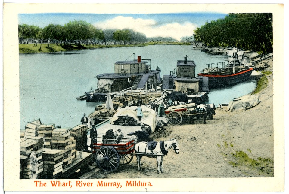 05978-Mildura-1905-The Wharf River Murray-Brück & Sohn Kunstverlag