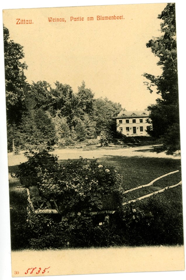 05835-Zittau-1905-Weinau mit Blumenbeet-Brück & Sohn Kunstverlag