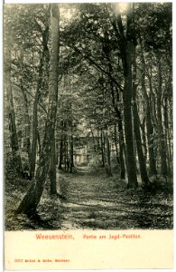 06097-Weesenstein-1905-Am Pavillon im Schloßgarten-Brück & Sohn Kunstverlag