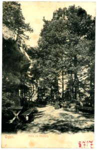 05717-Oybin-1905-Am Oberberg-Brück & Sohn Kunstverlag