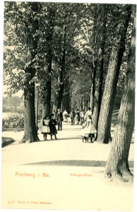 05157-Freiberg-1904-Königsallee-Brück & Sohn Kunstverlag