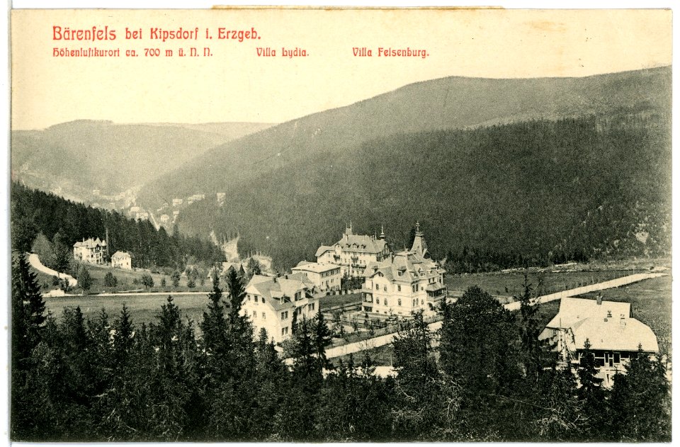 06311-Bärenfels-1905-Blick auf Bärenfels vom spitzen Berge aus-Brück & Sohn Kunstverlag