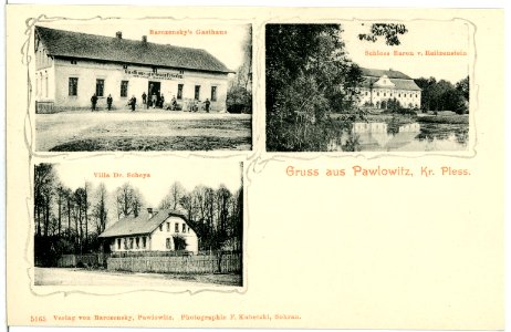 05165-Pawlowitz-1904-Villa Dr. Scheya, Gasthaus, Schloß-Brück & Sohn Kunstverlag