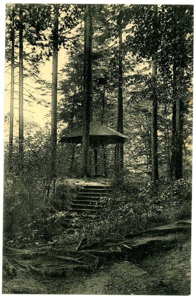 06447-Colditz-1905-Am Pilz im Tiergarten-Brück & Sohn Kunstverlag