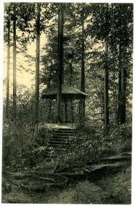 06447-Colditz-1905-Am Pilz im Tiergarten-Brück & Sohn Kunstverlag