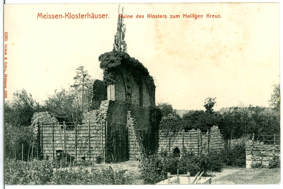 06235-Meißen-1905-Klosterhäuser - Ruine des Klosters zum Heiligen Kreuz-Brück & Sohn Kunstverlag