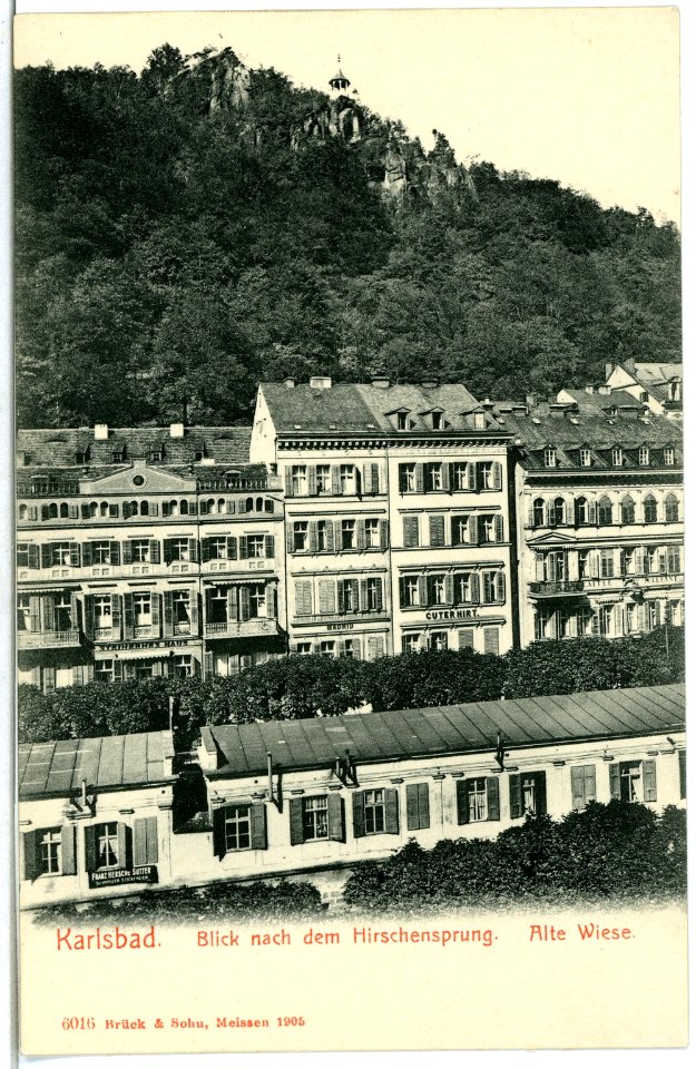 06016-Karlsbad-1905-Blick nach dem Hirschensprung - Alte Wiese-Brück & Sohn Kunstverlag