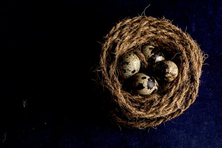 Rope nest quail