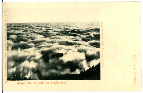 05051-Kalifornien-1904-Above the Clouds in California-Brück & Sohn Kunstverlag