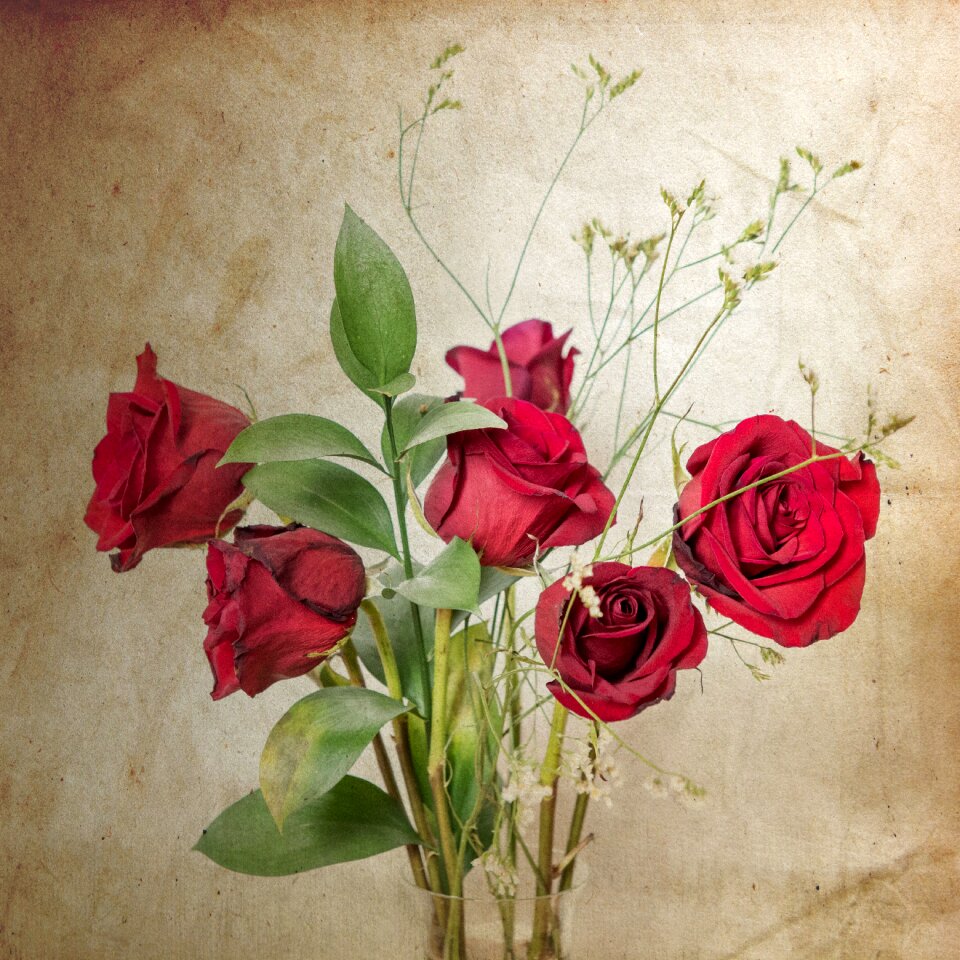 Vintage valentine brown rose