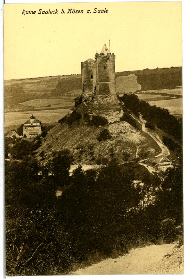 06131-Saaleck-1905-Burgruine-Brück & Sohn Kunstverlag