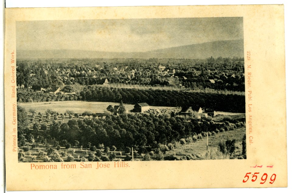 05599-Pomona-1904-Pomona from San Jose Hills-Brück & Sohn Kunstverlag