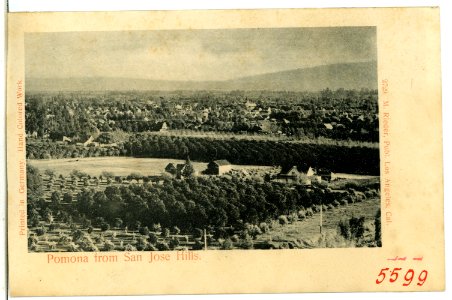 05599-Pomona-1904-Pomona from San Jose Hills-Brück & Sohn Kunstverlag