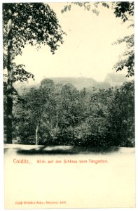 06443-Colditz-1905-Blick aufs Schloß vom Tiergarten aus-Brück & Sohn Kunstverlag