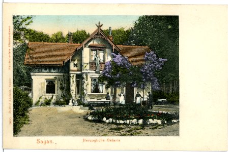 05095-Sagan-1904-Herzogliche Belaria-Brück & Sohn Kunstverlag
