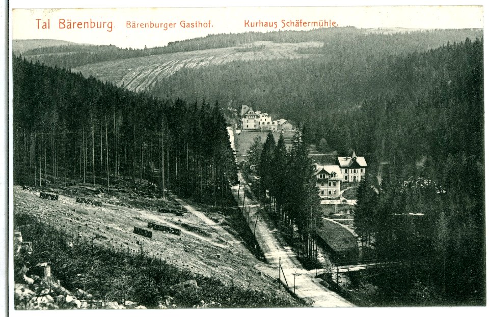 06226-Bärenburg-1905-Bärenburger Gasthof - Kurhaus Schäfermühle-Brück & Sohn Kunstverlag