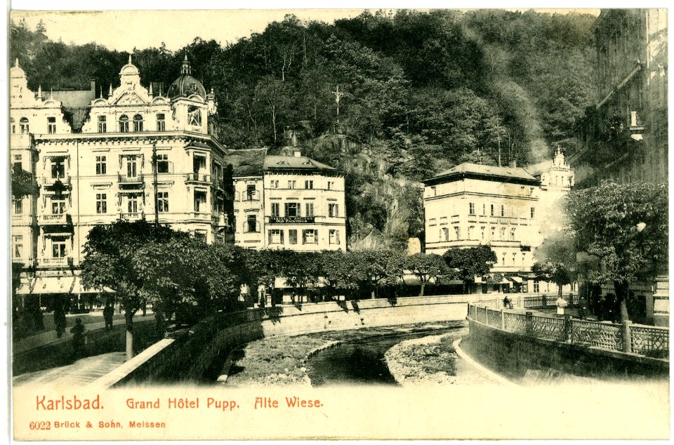 06022-Karlsbad-1905-Grandhotel Pupp - Alte Wiese-Brück & Sohn Kunstverlag