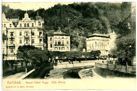 06022-Karlsbad-1905-Grandhotel Pupp - Alte Wiese-Brück & Sohn Kunstverlag