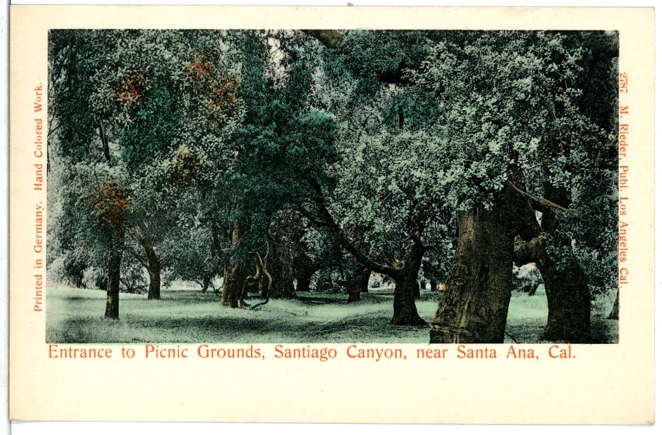 05732-Santa Ana-1905-Entrance to Picnic Grounds, Santiago Canyon, Cal.-Brück & Sohn Kunstverlag