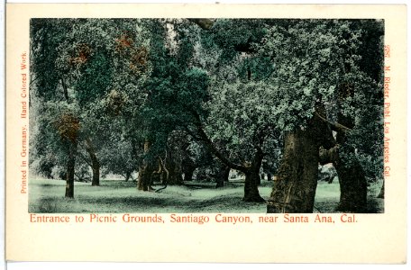 05732-Santa Ana-1905-Entrance to Picnic Grounds, Santiago Canyon, Cal.-Brück & Sohn Kunstverlag