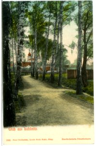 05865-Lublinitz-1905-Waldweg-Brück & Sohn Kunstverlag