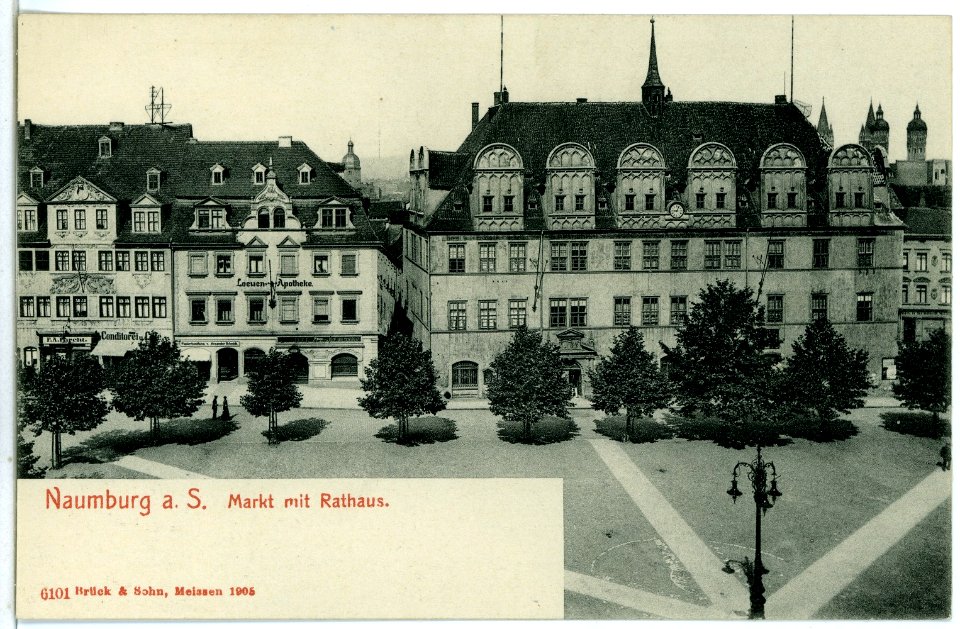 06101-Naumburg-1905-Markt mit Rathaus-Brück & Sohn Kunstverlag