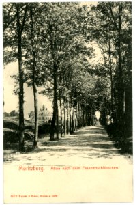 06079-Moritzburg-1905-Allee nach dem Fasanenschlößchen-Brück & Sohn Kunstverlag