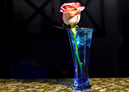 Bar party cocktail
