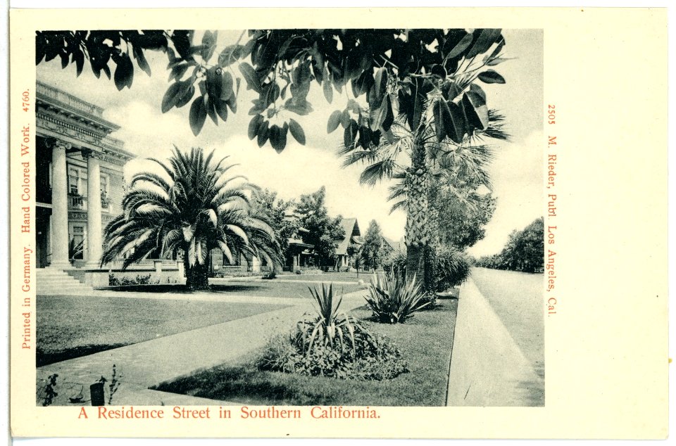 04760-Southern-1903-A Residence Street in Southern California-Brück & Sohn Kunstverlag